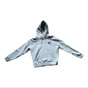 champion hoodie size Medium